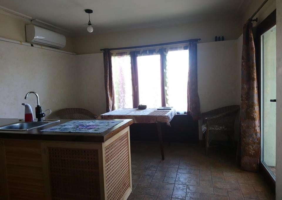 Minimax Tatil Evi Odessa